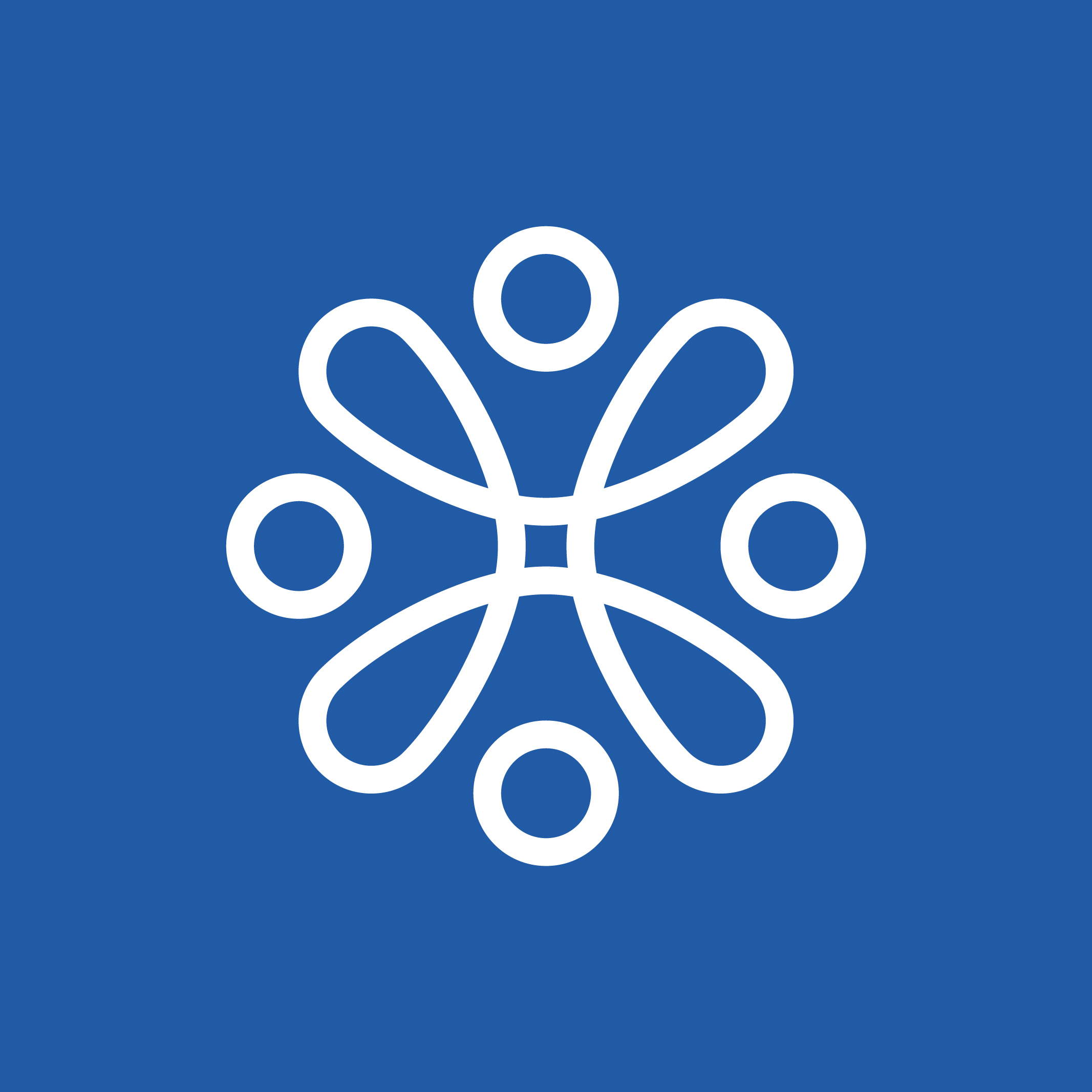 المدير العام